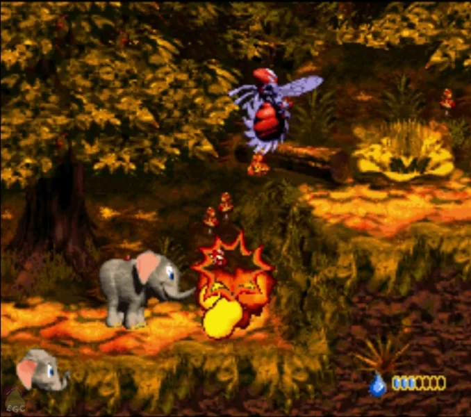 Donkey Kong Country 3