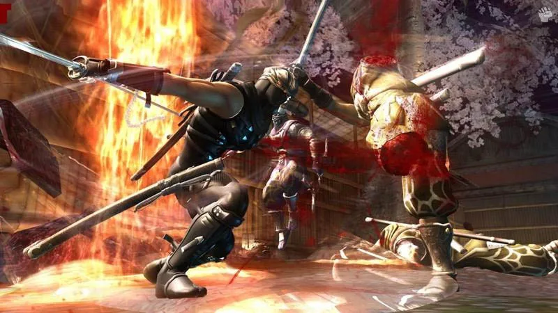 Ninja Gaiden II